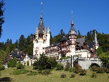 Pic 14